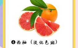 哪些水果能祛痘美容？