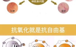 护肤品抗氧化，到底在抗什么？