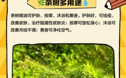 茶树祛痘精油怎么稀释才正确？