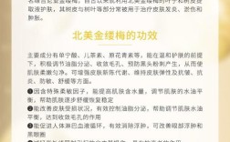 含金缕梅成分的护肤品有何功效？