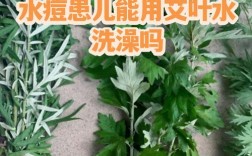 艾叶洗脸真能祛痘吗？