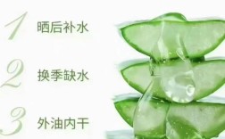 鲜芦荟怎么用才有效祛痘印？