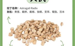 黄芪护肤到底有啥神奇功效？