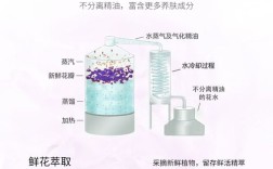 薰衣草喷雾真能祛痘吗？