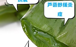 芦荟胶祛痘真有效吗？