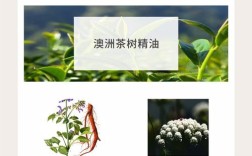 芙水祛痘祛印霜真的好用吗？