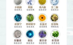 哪些天然成分能真正祛痘？