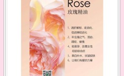 玫瑰花提取物护肤功效有哪些？