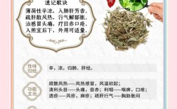 薄荷在护肤品中的作用
