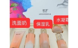 嘉年华护肤品套装价格