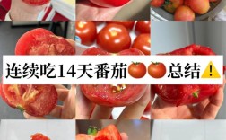 吃一个月西红柿真的能祛痘吗？