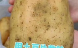 土豆片祛痘印真有效吗？