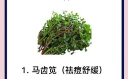 降火祛痘的中药有哪些？