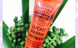 澳洲木瓜膏可以祛痘么