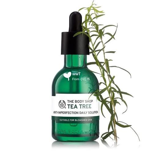 茶树油祛痘真的有效吗？-图1