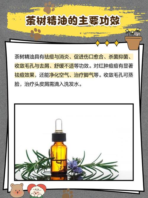 祛痘选茶树还是薰衣草精油？-图3