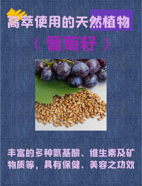 葡萄籽护肤品功效作用究竟有多强？-图1