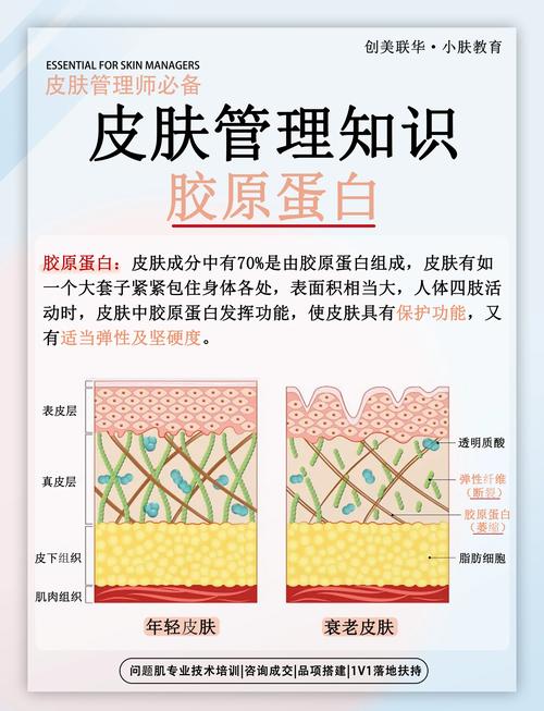 胶原蛋白真能祛痘吗？-图3