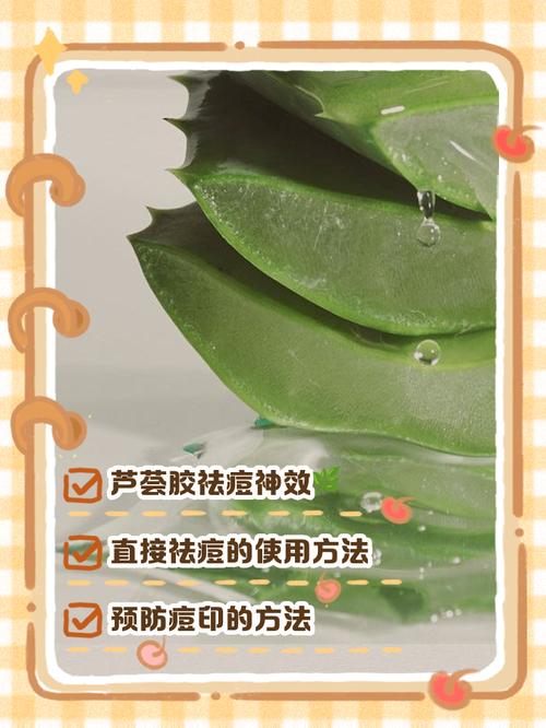 芦荟膏快速祛痘真的有效吗？-图1