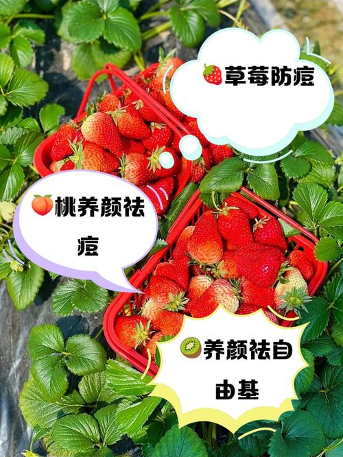 祛痘印该吃哪种水果最有效？-图3