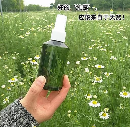 含洋甘菊护肤品有哪些？-图2