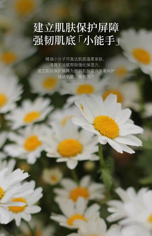 洋甘菊护肤品品牌怎么选？-图1