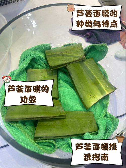 芦荟自制面膜真的能祛痘美白吗？-图1