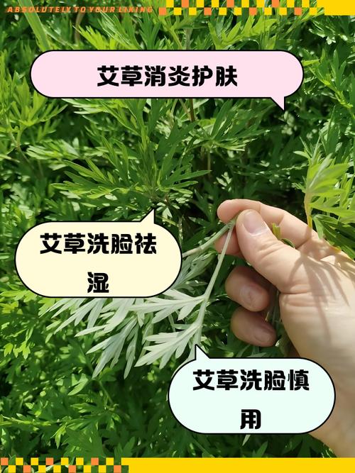 中药洗脸真能控油祛痘吗？-图3