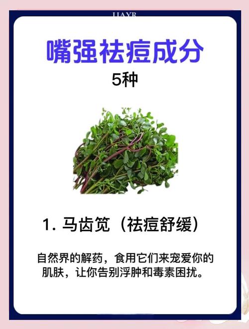 降火祛痘的中药有哪些？-图1