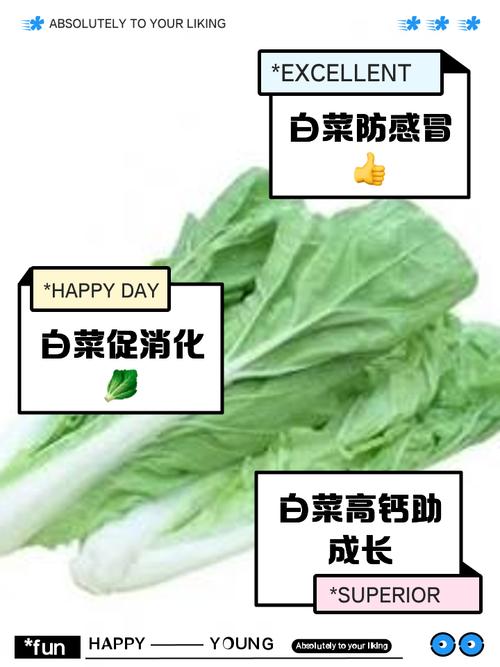 清水煮白菜真能祛痘吗？-图1