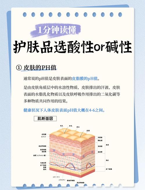 护肤品能被皮肤吸收吗-图3