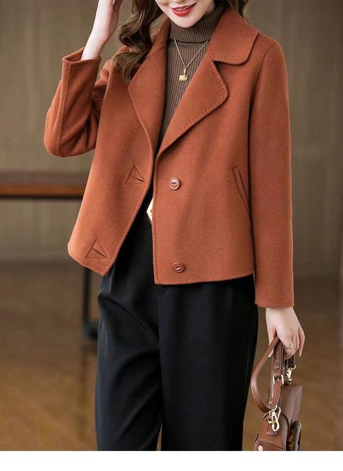 秋冬装新款女装2025-图1