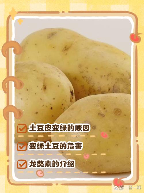 土豆真的能祛痘印吗？-图3