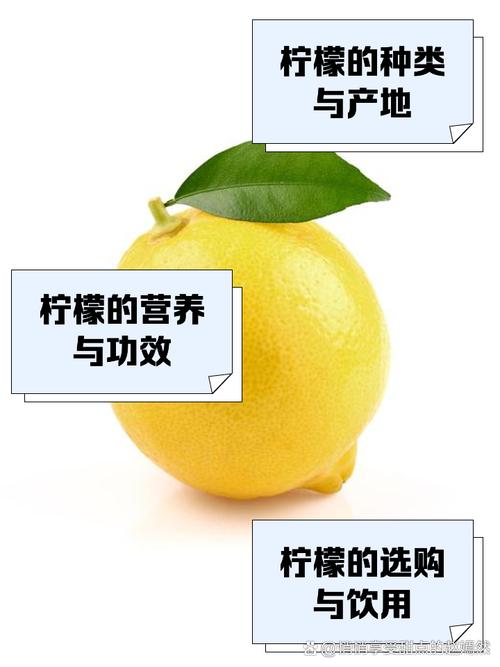 柠檬切片能祛痘印吗?-图2 柠檬切片能祛痘印吗?-图2