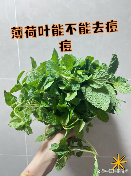 祛痘哪种植物最有效？-图2