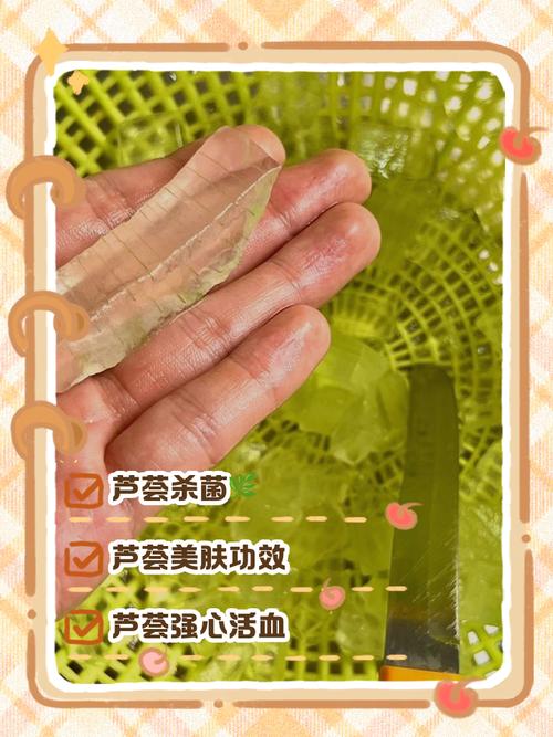 芦荟叶祛痘真的有效吗？这才是正确涂抹方法-图2