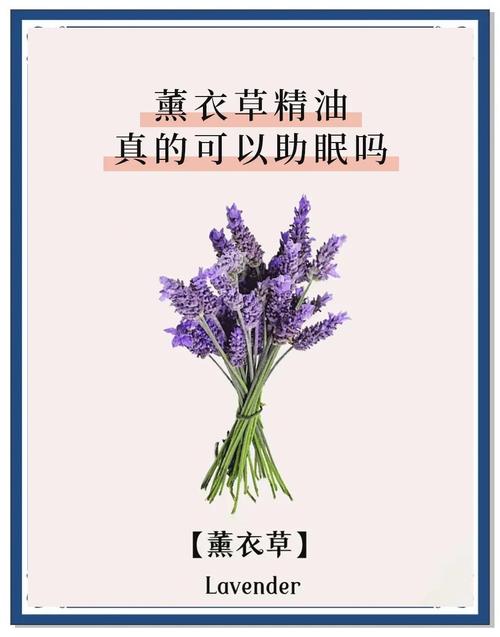 薰衣草精油祛痘印咋样-图1