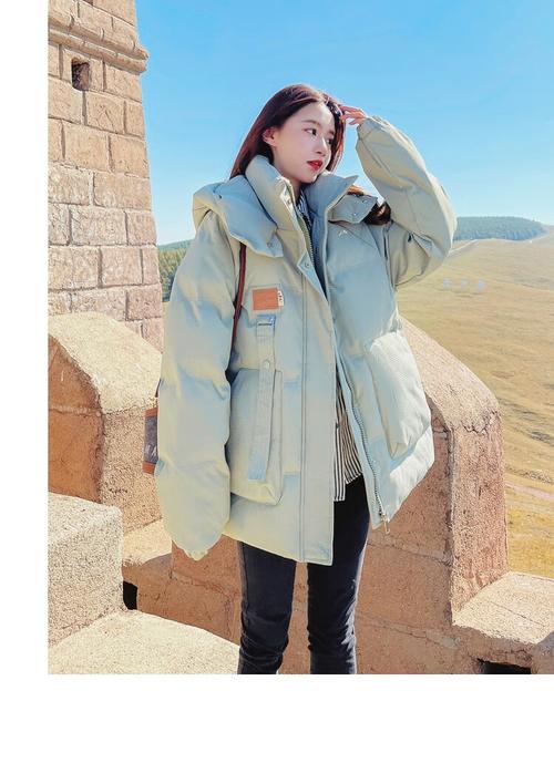 冬天韩版女装外套新款，有哪些时尚亮点？-图2