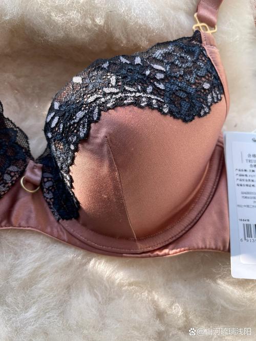 知名女装内衣品牌有哪些？-图3