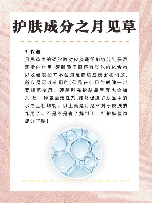 月见草真的能祛痘吗?-图1 月见草真的能祛痘吗?-图1