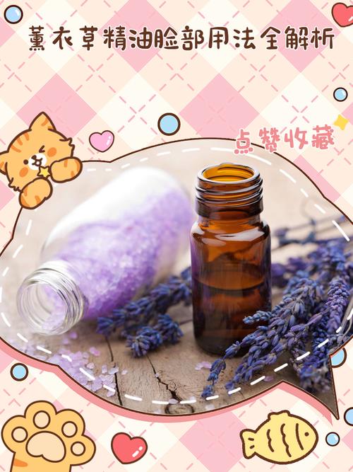 薰衣草精油怎么用祛痘印最有效？-图3