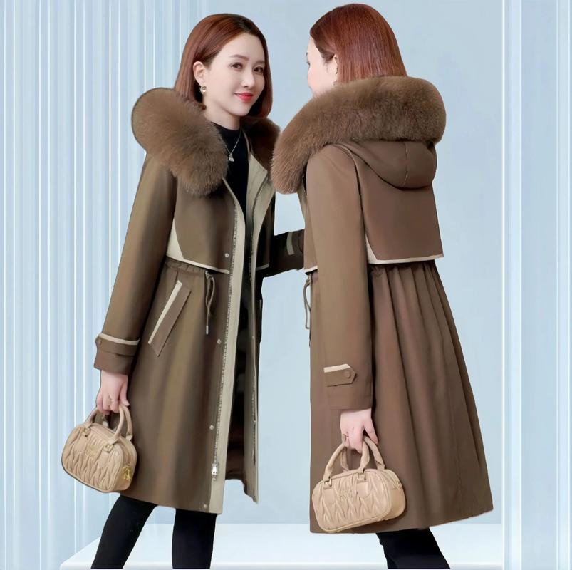 冬款女装大衣图片大全有哪些热门款？-图1