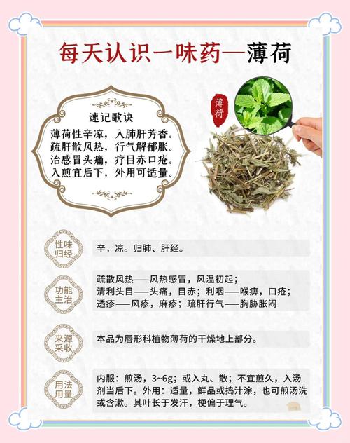 薄荷在护肤品中的作用-图1 薄荷在护肤品中的作用-图1