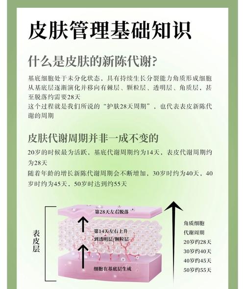 护肤品多久能被皮肤吸收?-图1 护肤品多久能被皮肤吸收?-图1