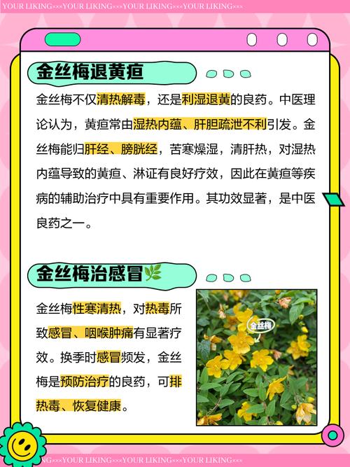 茶树金缕梅祛痘效果真的好吗？-图2