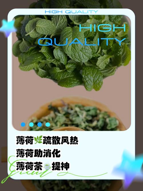 薄荷叶捣碎真能祛痘印吗？-图1