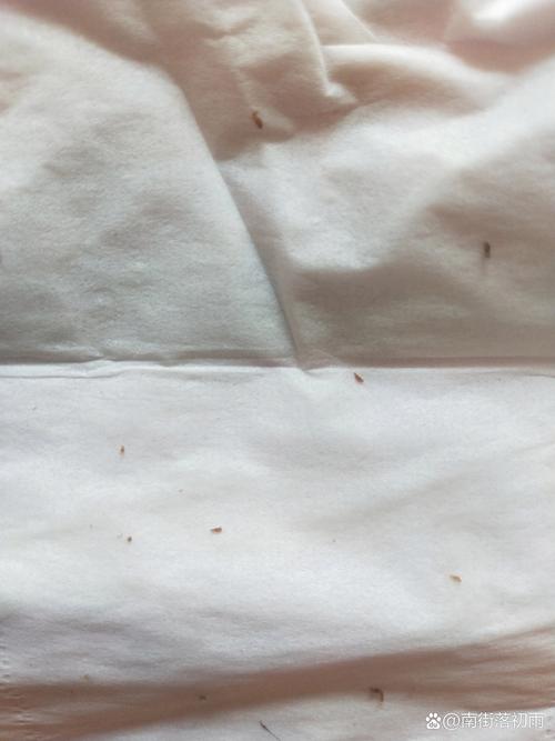 去螨虫护肤品排行榜真的有效吗？-图2