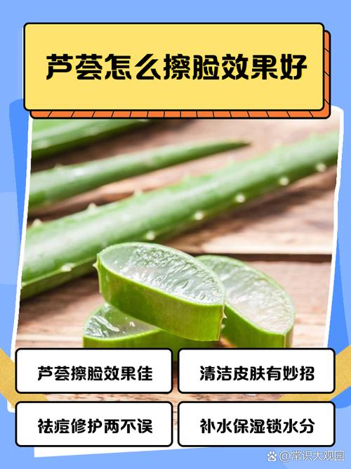 生芦荟擦脸真能祛痘吗?-图1 生芦荟擦脸真能祛痘吗?-图1
