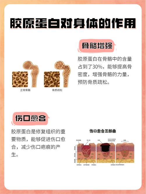 喝胶原蛋白能祛痘吗？-图2