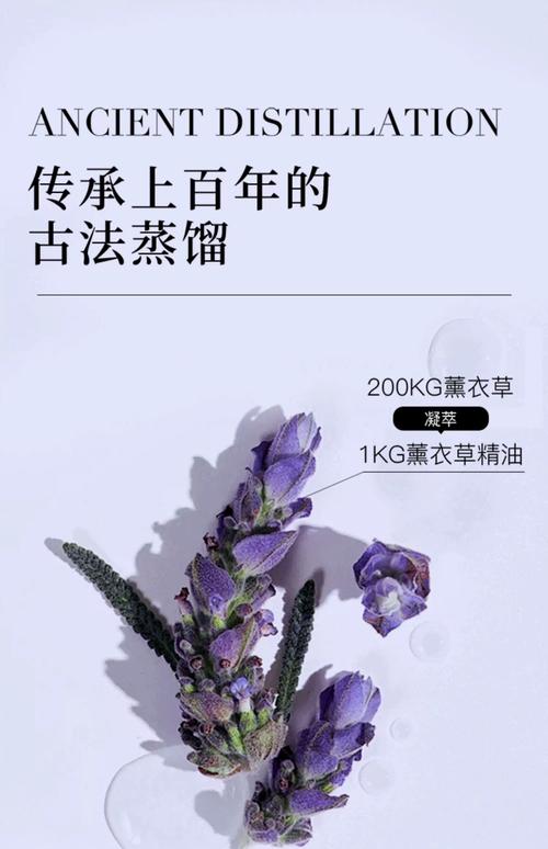 单方薰衣草精油祛痘印真的有效吗？-图2